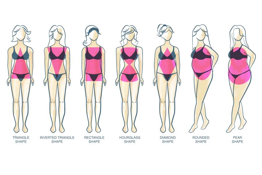 Illustration Female Body Endomorph Body Type Characterized Higher